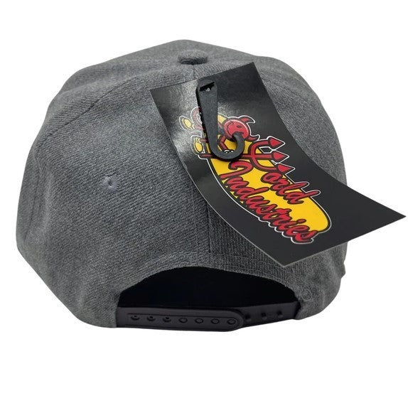 World Industries Boys Logo Grey Snapback Cap, Original, New With Tags